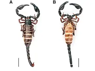 Description de cette image, également commentée ci-après