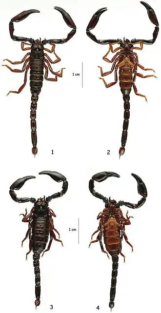 Description de cette image, également commentée ci-après