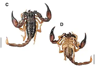 Description de cette image, également commentée ci-après