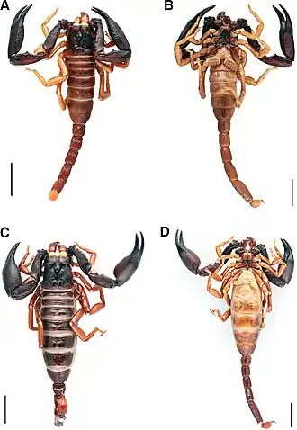 Description de cette image, également commentée ci-après