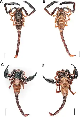 Description de cette image, également commentée ci-après
