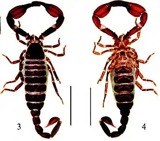 Description de cette image, également commentée ci-après