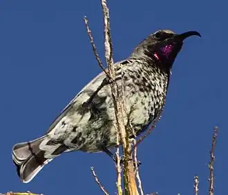Description de cette image, également commentée ci-après