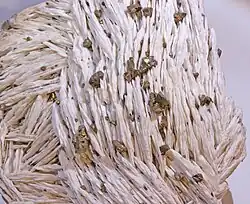 Chalcopyrite sur Barite — Schwerspatgrube Dreislar, Sauerland, Allemagne  (13&nbsp;×&nbsp;12&nbsp;cm)