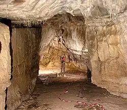 Réseau du Champagne de la grotte des Chamois.