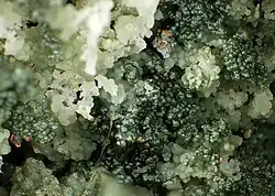 Image illustrative de l’article Saponite