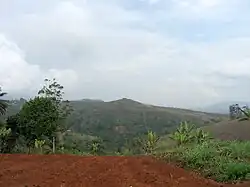 Vue panoramique d'un champ à Bana.