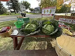 Kiosque de fruits et légumes, produits du terroir