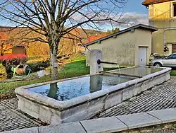 La fontaine-abreuvoir.