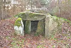 Image illustrative de l’article Dolmen du Champ-du-Ruisseau