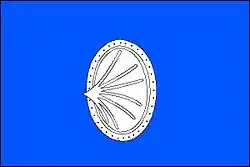 Drapeau de Chanovice
