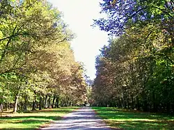 La route d'Avilly au parc de Chantilly.
