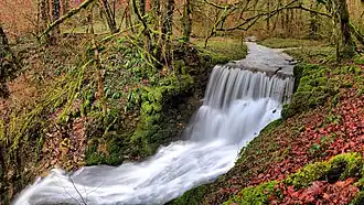 Cascade du moulin de Bonnecreau.