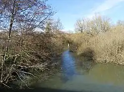 La Charente au lieu-dit Dalidant.