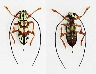 Description de cette image, également commentée ci-après