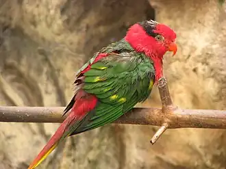 Description de cette image, également commentée ci-après