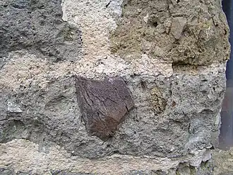 Moellon des thermes.