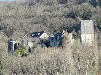 Les ruines du château de Couzage.