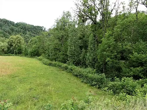 La vallée du Chat Cros à Évaux-les-Bains au pont de la RD 915, à 150&nbsp;mètres de sa confluence avec la Tardes.