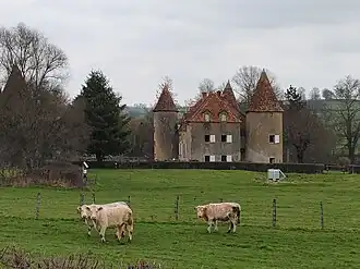 Image illustrative de l’article Château du Montot