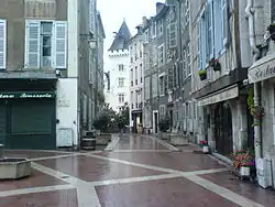 Photographie en couleurs d'une rue piétonne pavée.