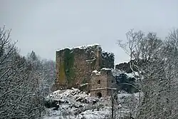 Ruines du château du Hugstein (XVIe&nbsp;siècle).