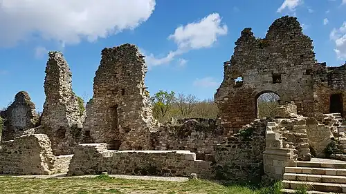 Détail de l'aile droite.