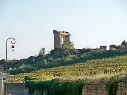 Vignes avec une ruine sur la gauche