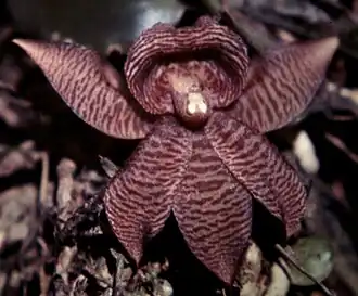 Description de cette image, également commentée ci-après