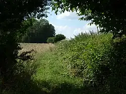 Chemin remontant du gué du ruisseau de Donstiennes vers la rue Poschet à Strée.