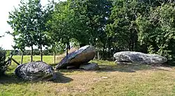 Image illustrative de l’article Menhirs des Platennes