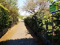 Venelle Buissonnière