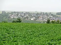 Chavigny vue de la route venant de Cuffies.