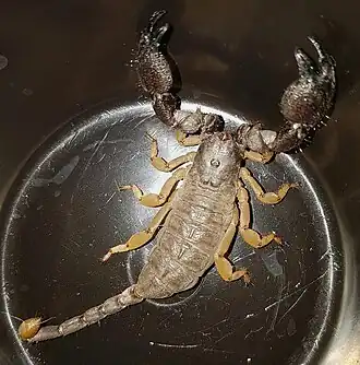 Description de cette image, également commentée ci-après