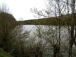 Vue d'un grand plan d'eau derrière un rideau d'arbres.