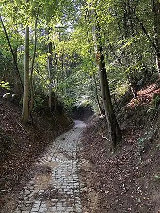 Image illustrative de l’article Chemin du Crabbegat