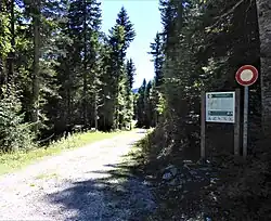 Chemin de la plaine d'Herbouilly.