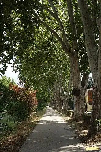 Image illustrative de l’article Boulevard de la Marne (Toulouse)