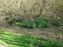 l'Ancre à Chennegy.