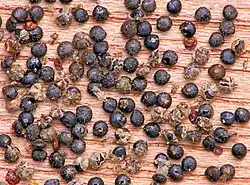 Graines (comestibles et nutritives).