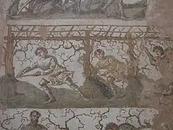 Sarclage de la vigne.