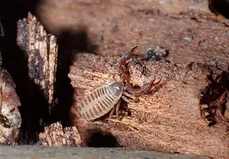 Description de cette image, également commentée ci-après