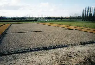 Photographie en couleurs d'un cour rectangulaire limitée par la base de murs maçonnés.