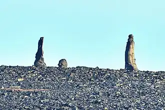 Île Tchemyrekhstolbovoï (des Kigilyakhs)