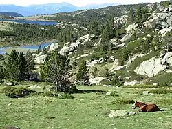 Vue d'un des lacs du Carlit.