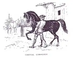 Gravure représentant un homme avec un tricorne retenant un cheval noir fougueux, tandis qu'un autre personnage tient un cheval à la robe claire en arrière-plan.