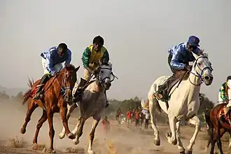 Galop sur du plat (Gashiga, Cameroun)