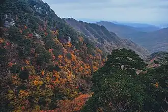 District de Hoengseong