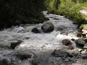 Image illustrative de l’article Tchibitka