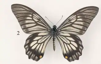 Description de cette image, également commentée ci-après